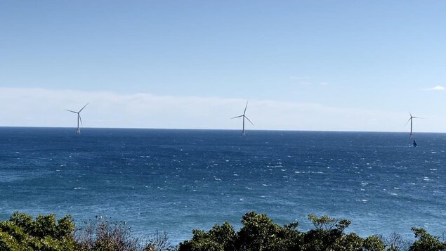 Terre-Neuve-et-Labrador lève son moratoire sur les parcs éoliens