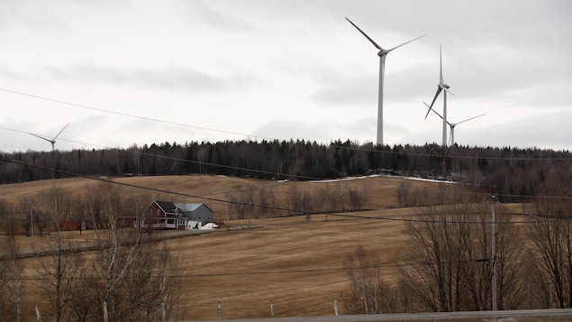 Des éoliennes près de champs.