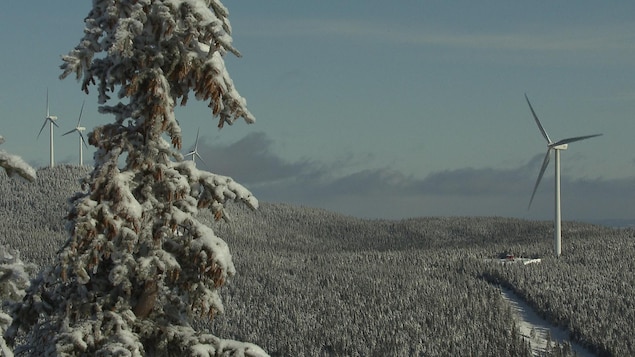 Des éoliennes dans un paysage hivernal en Gaspésie.