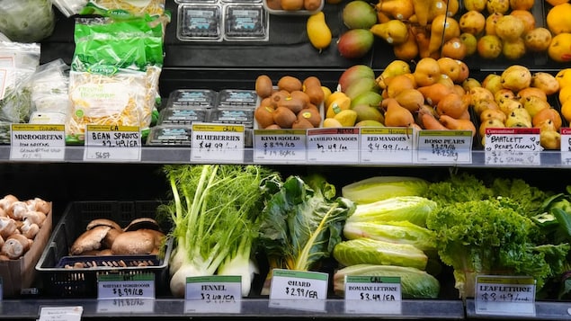  Commerce interprovincial : des règles s’assouplissent, mais des barrières persistent 