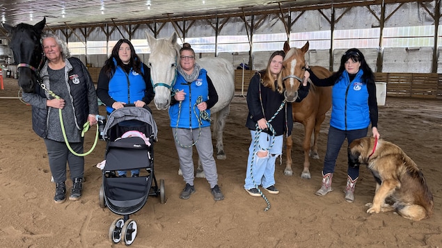 Un cheval plutôt qu’un psychologue : une fondation de l’Outaouais mise sur l’équithérapie