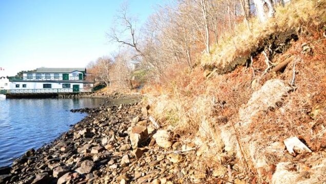 Du foin et des plantes sauvages sur un rivage à Halifax. Du foin et des plantes sauvages sur un rivage à Halifax.