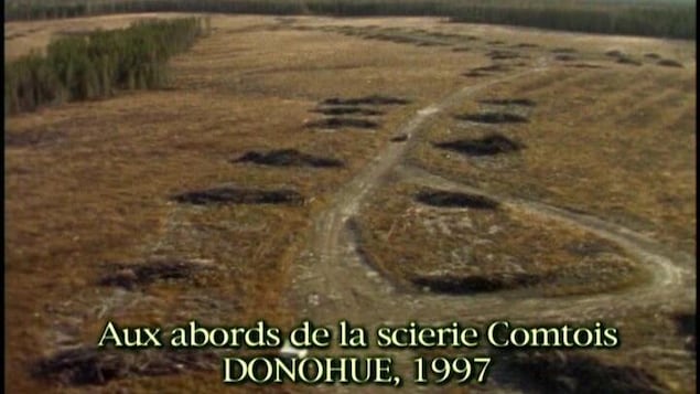 Dance this shot of the film L'erreur Boréale by Richard Desjardins and Robert Monderie, in an area of ​​a coupé near the Comtois Peninsula, in Lebel-sur-Queville, before a total coupé, in 1997.