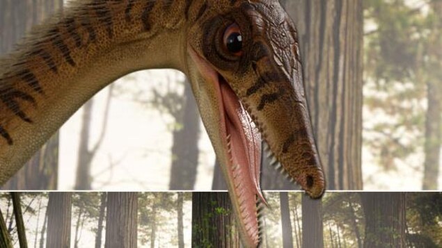 Représentation artistique de la tête d'un Erythrovenator jacuiensis.