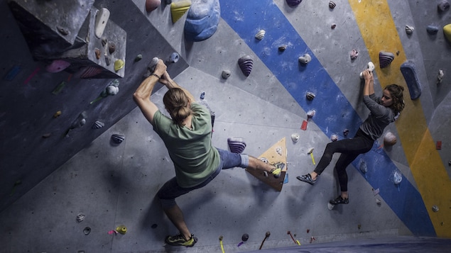 Un projet de 2,6 M$ pour la coopérative Riki Bloc