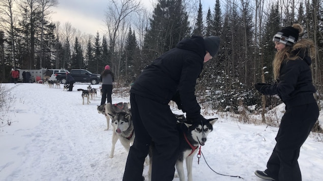 Escapade en traîneau à chiens et résilience familiale à Otter Lake