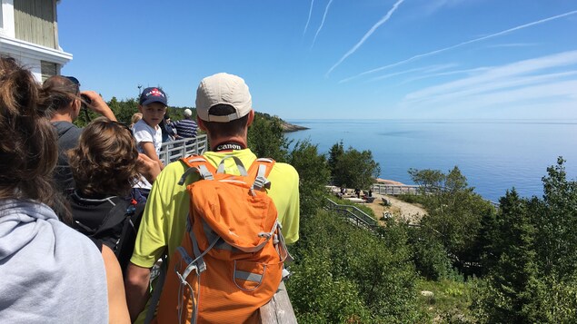 Aux Escoumins, on aperçoit les mammifères marins tout près de la côte.