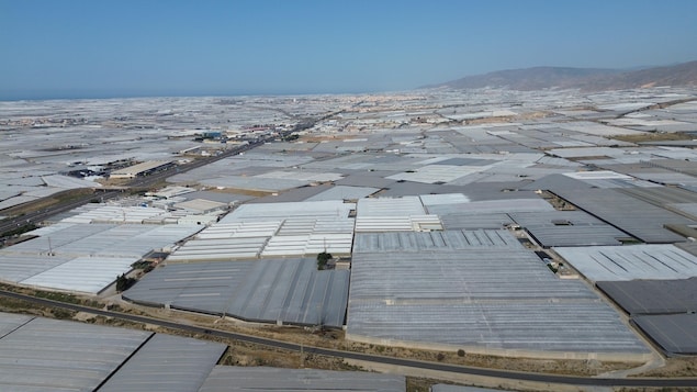 Quand le potager de l’Europe génère des crises humanitaires et environnementales