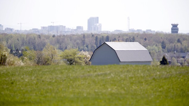 Québec ignore le nombre de terres agricoles achetées par des spéculateurs