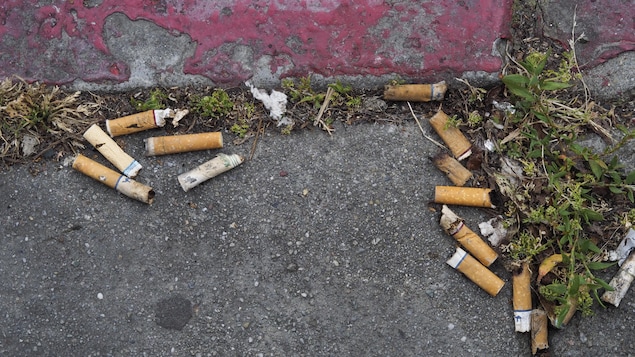 Des mégots de cigarettes Des mégots de cigarettes