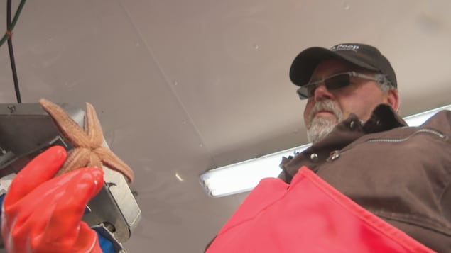 Stephen Stewart et une étoile de mer.