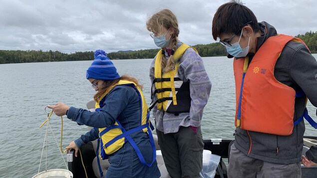 Des chercheurs s’intéressent au plantotryx rubescens dans le lac Fortune