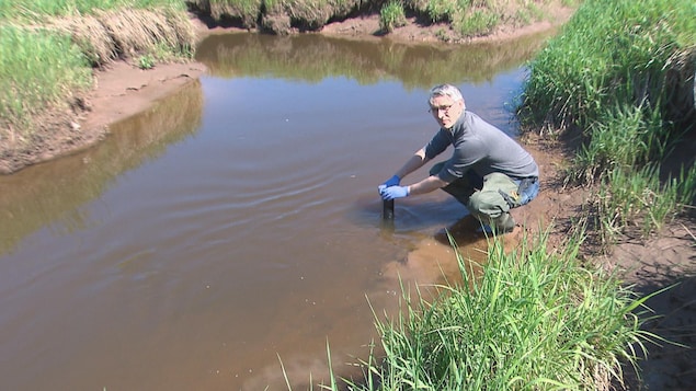 Olivier Clarisse, chimiste et professeur à l'Université de Moncton, en train de prendre un échantillon du sol de la rivière Kennebecasis.
