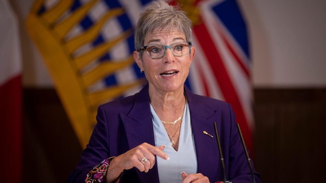B.C. places 2-year ban on new colleges enrolling international students ...