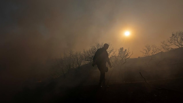 'We are at war': The latest on the heat waves around the world - Vimarsana News