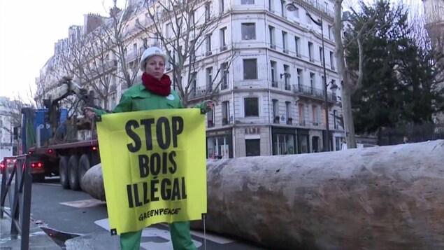 Une manifestation contre l'importation de bois exotique à Paris, en France Une manifestation contre l'importation de bois exotique à Paris, en France