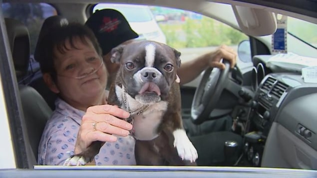 Des évacués et leur chien arrivent au centre d'évacuation de Kamloops, en Colombie-Britannique. Des évacués et leur chien arrivent au centre d'évacuation de Kamloops, en Colombie-Britannique.