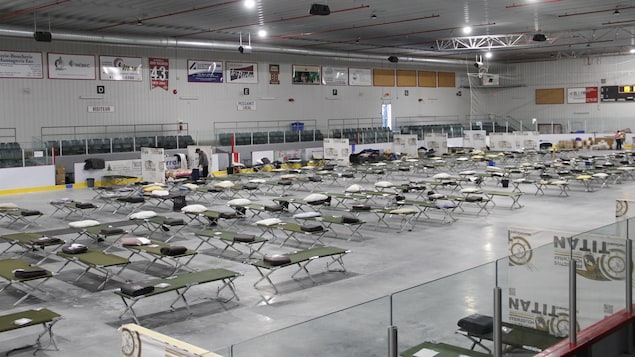 Plusieurs lits de camp installés dans un aréna.
