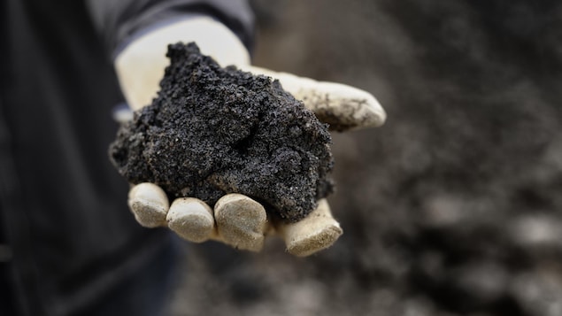 [Report] From the Orinoco to the Athabasca: Venezuelan expertise in Alberta