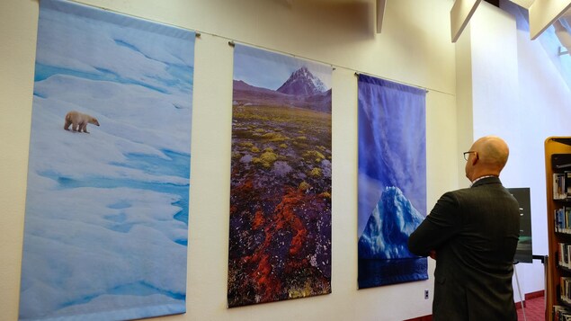 Photos d'un ours sur la banquise et paysages de l'Arctique avec un visiteur de l'exposition Photos d'un ours sur la banquise et paysages de l'Arctique avec un visiteur de l'exposition