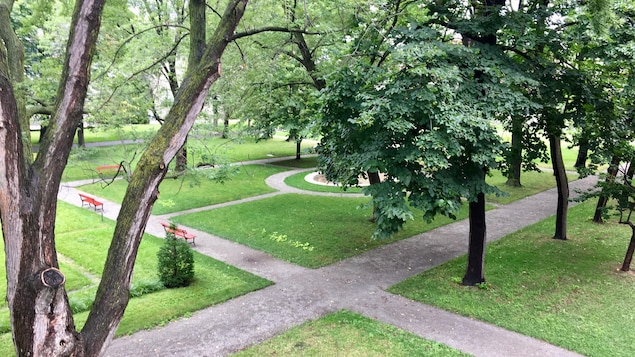 Le jardin des Sulpiciens serait le plus ancien d'Amérique du Nord. Entre les feuilles, on distingue à peine la basilique Notre-Dame qui le borde. Le jardin des Sulpiciens serait le plus ancien d'Amérique du Nord. Entre les feuilles, on distingue à peine la basilique Notre-Dame qui le borde.