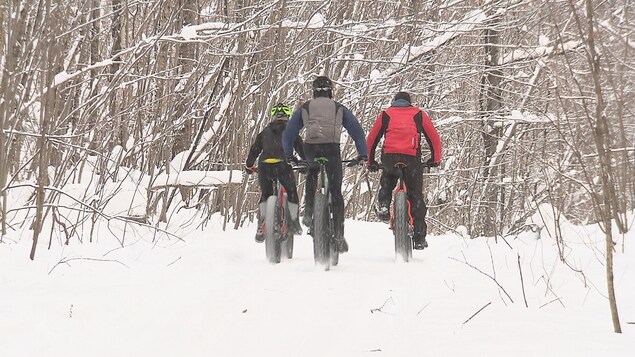 Des adeptes de fatbike dans un sentier en hiver Des adeptes de fatbike dans un sentier en hiver