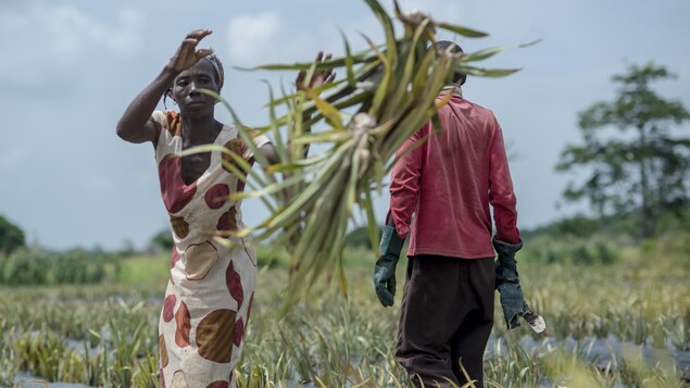 Les pays peuvent-ils s’enrichir sans détruire la planète?