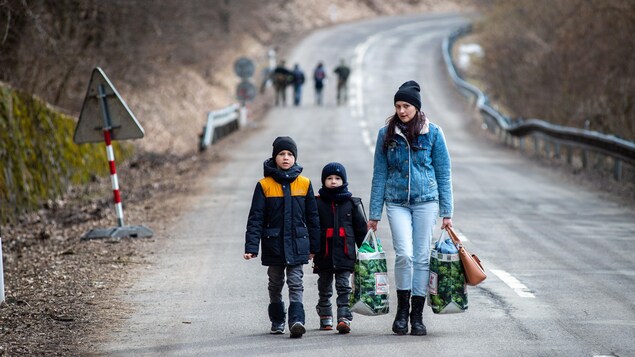 Émission spéciale au TJ Estrie : les réponses à vos questions sur le conflit en Ukraine