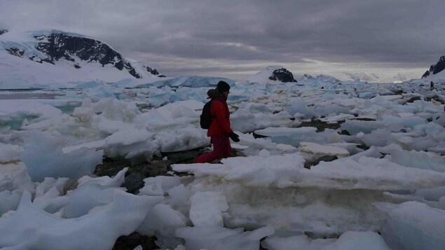 Une femme marche entre des morceaux de glace en Antarctique Une femme marche entre des morceaux de glace en Antarctique