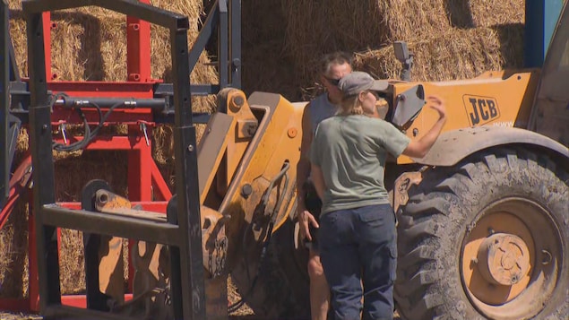 Nouveau programme de mentorat pour les femmes en agriculture