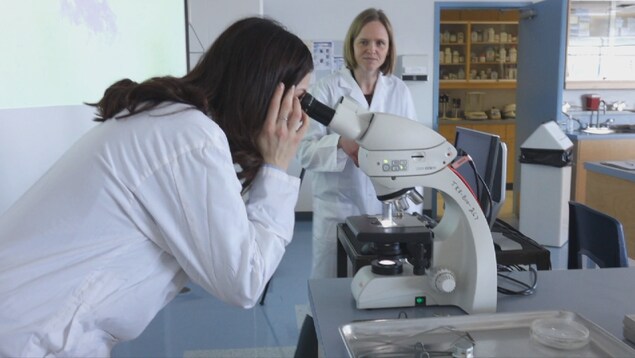 Journee Internationale Des Femmes Et Des Filles De Science Radio Canada Ca