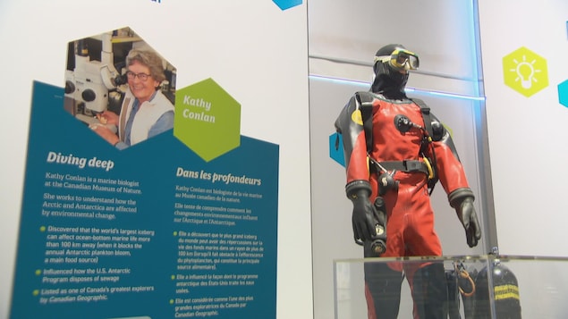 Un panneau présente les réalisations de la biologiste, à côté d'un mannequin portant masque et combinaison de plongée sous-marine. Un panneau présente les réalisations de la biologiste, à côté d'un mannequin portant masque et combinaison de plongée sous-marine.