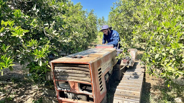 Un tracteur sur une ferme en Algérie.