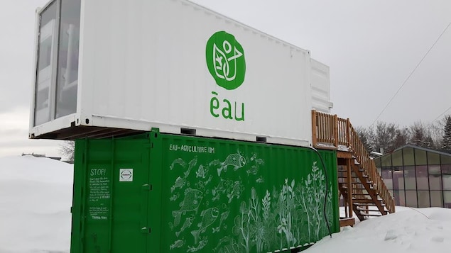 La ferme aquaponique est constitutée de deux conteneurs recyclés superposés