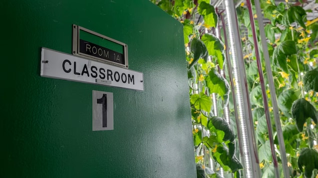 Un couple saskatchewanais transforme une ancienne école en ferme hydroponique