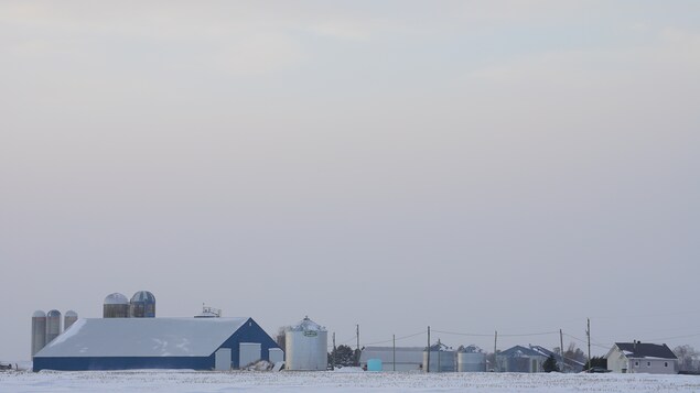 Le Québec a perdu 880 fermes laitières entre 2010 et 2016. Le Québec a perdu 880 fermes laitières entre 2010 et 2016.
