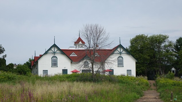 La photo montre un bâtiment de ferme blanc et un champ de fleurs