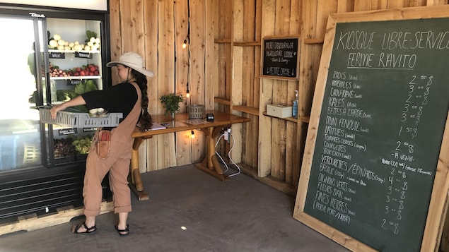 La ferme Ravito de Sainte-Flavie ouvre un comptoir de légumes en libre-service