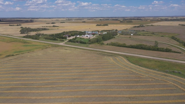 Refaire la santé des sols agricoles