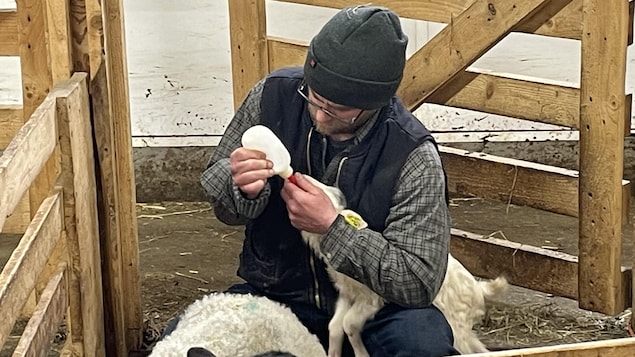 S’associer pour pérenniser son exploitation agricole