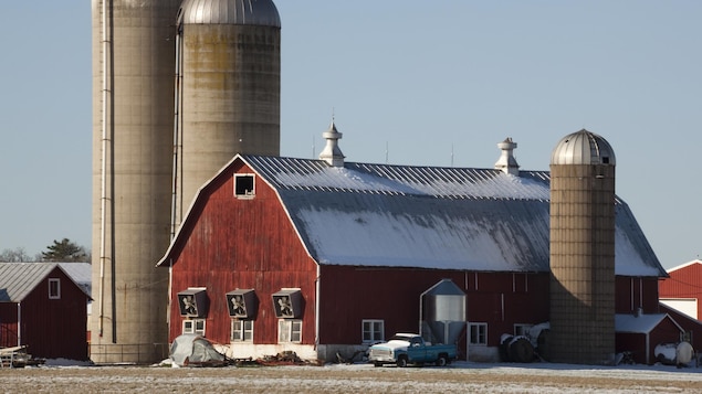 Ottawa verse 17,9 millions $ pour réduire les émissions de GES des fermes