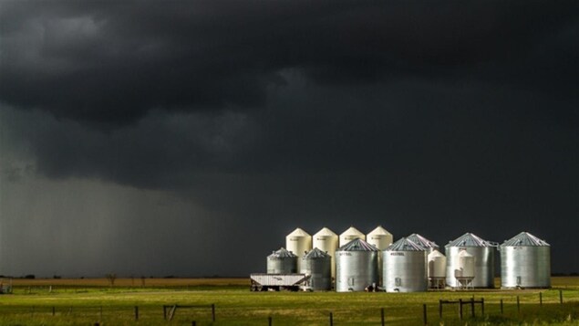 Des silos dans une ferme de l'Alberta.
