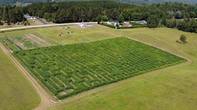 Un labyrinthe ouvert jour et nuit à Waterville