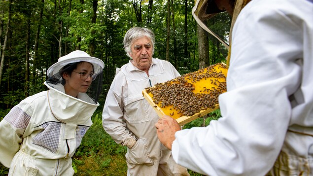 Alain Péricard examine un rayon d'abeilles avec une stagiaire et son employé. Ils sont habillés d'équipement protecteur. 