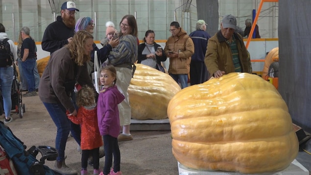Des familles prennent des souvenirs au milieu de grosses citrouilles exposées au Festival des citrouilles à Roland, au sud-ouest de Winnipeg.