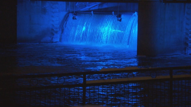 Un parcours hivernal illuminé qui fait le plaisir des petits et des grands à Granby