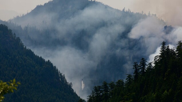 De la fumée qui s'échappe d'une forêt et un hélicoptère bombardier d'eau.