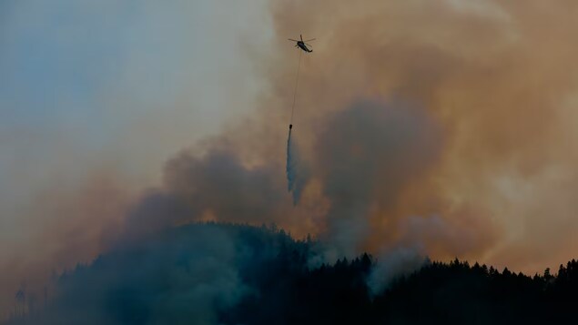 Un hélicoptère entouré de fumée largue de l'eau sur une forêt.