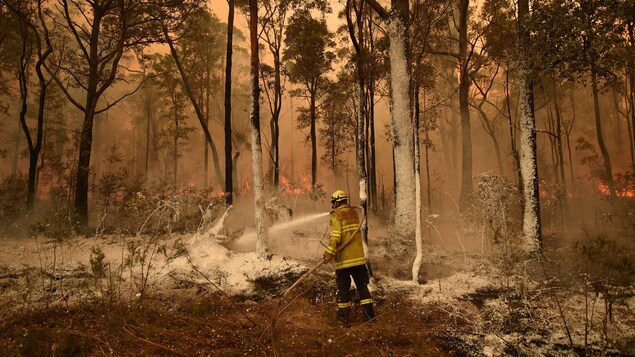 Un pompier seul dans une forêt en feu. 