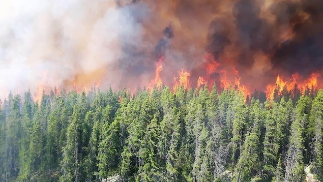 Des flammes s'élèvent au dessus d'une rangée d'arbres dans le secteur de Labrieville. 